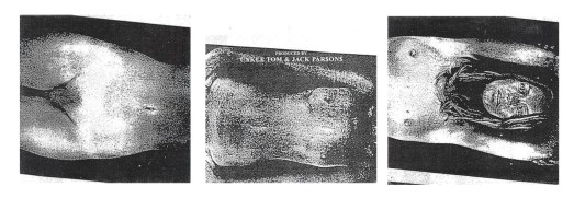 Composite of the cover of The Unholy Two's 