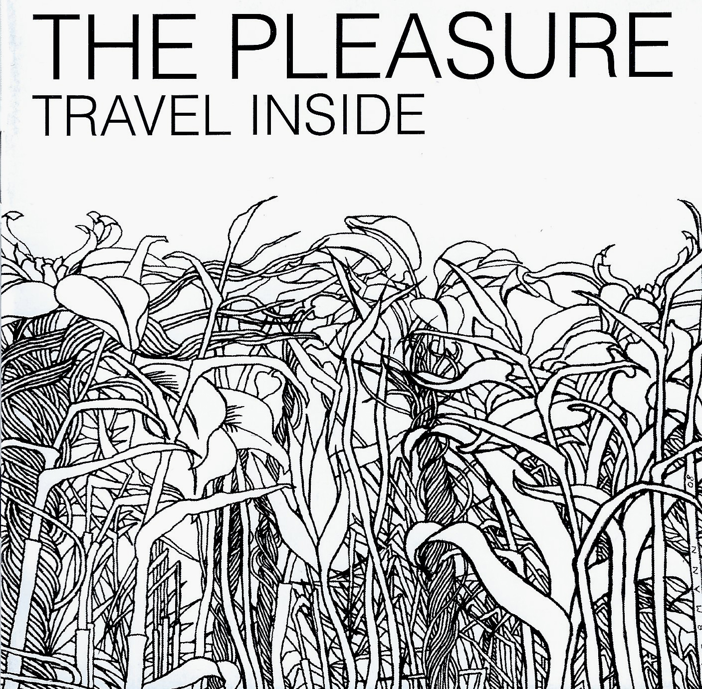 the pleasure-fr